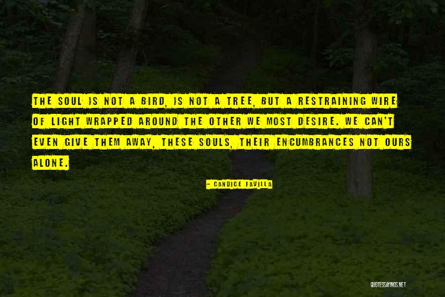 Reihenmotor Quotes By Candice Favilla Reihenmotor Quotes By Candice Favilla