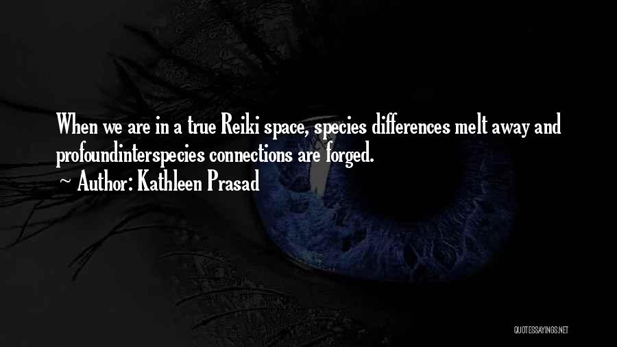 Reiki Meditation Quotes By Kathleen Prasad