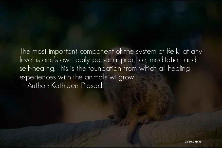 Reiki Meditation Quotes By Kathleen Prasad