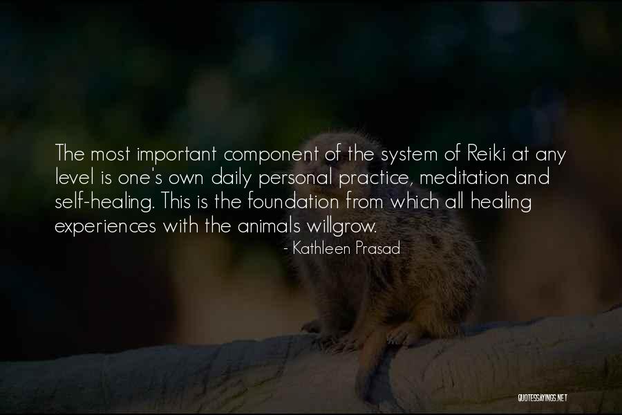 Reiki Meditation Quotes By Kathleen Prasad