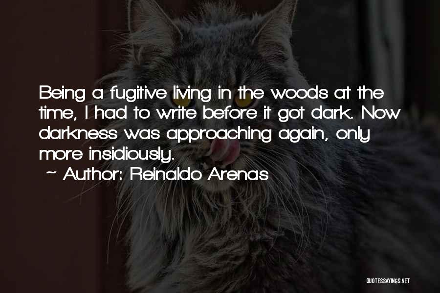 Reinaldo Arenas Quotes 1141352