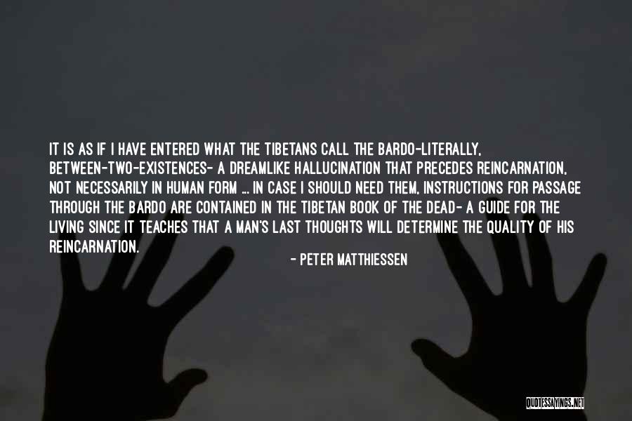 Reincarnation Tibetan Book Of The Dead Quotes By Peter Matthiessen Reincarnation Tibetan Book Of The Dead Quotes By Peter Matthiessen