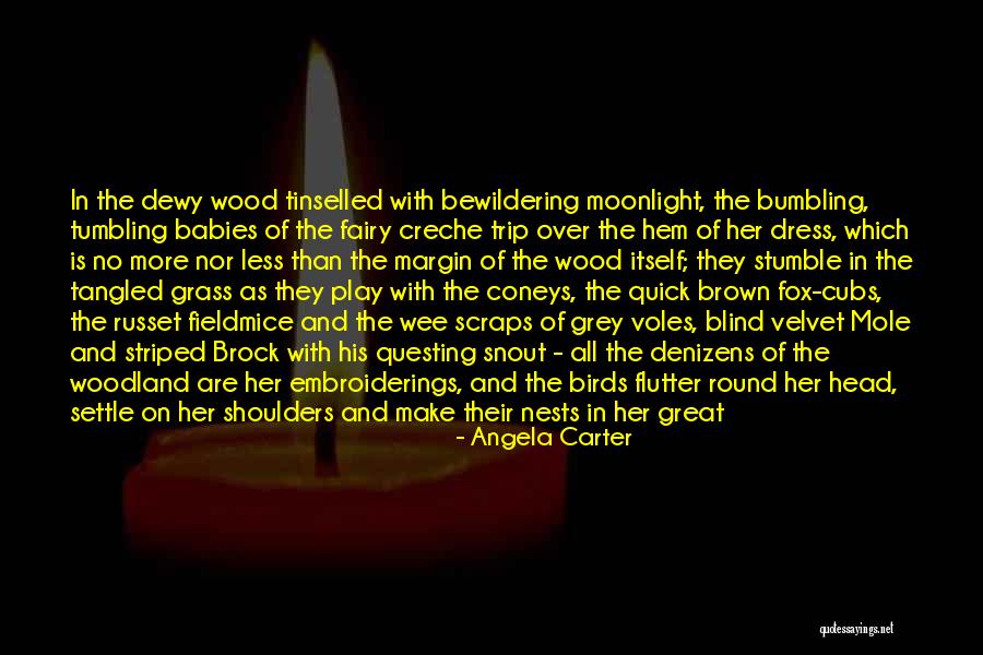 Reinemans True Quotes By Angela Carter Reinemans True Quotes By Angela Carter