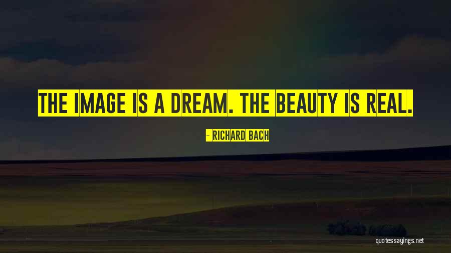 Reinerov Quotes By Richard Bach Reinerov Quotes By Richard Bach
