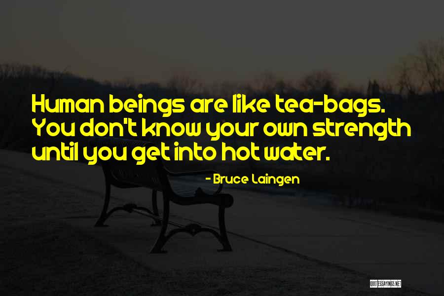 Reininghaus Brauerei Quotes By Bruce Laingen Reininghaus Brauerei Quotes By Bruce Laingen