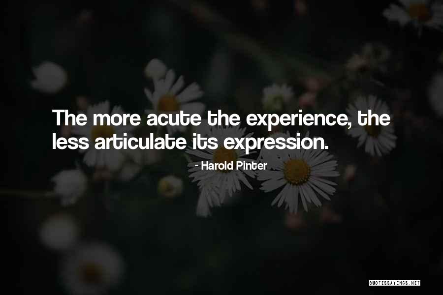 Reinita De Puerto Quotes By Harold Pinter Reinita De Puerto Quotes By Harold Pinter