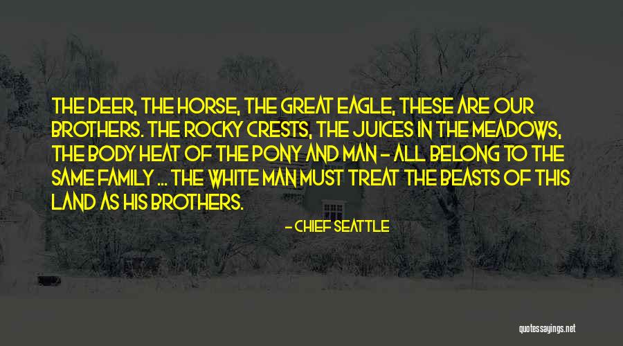 Reinos Barbaros Quotes By Chief Seattle Reinos Barbaros Quotes By Chief Seattle