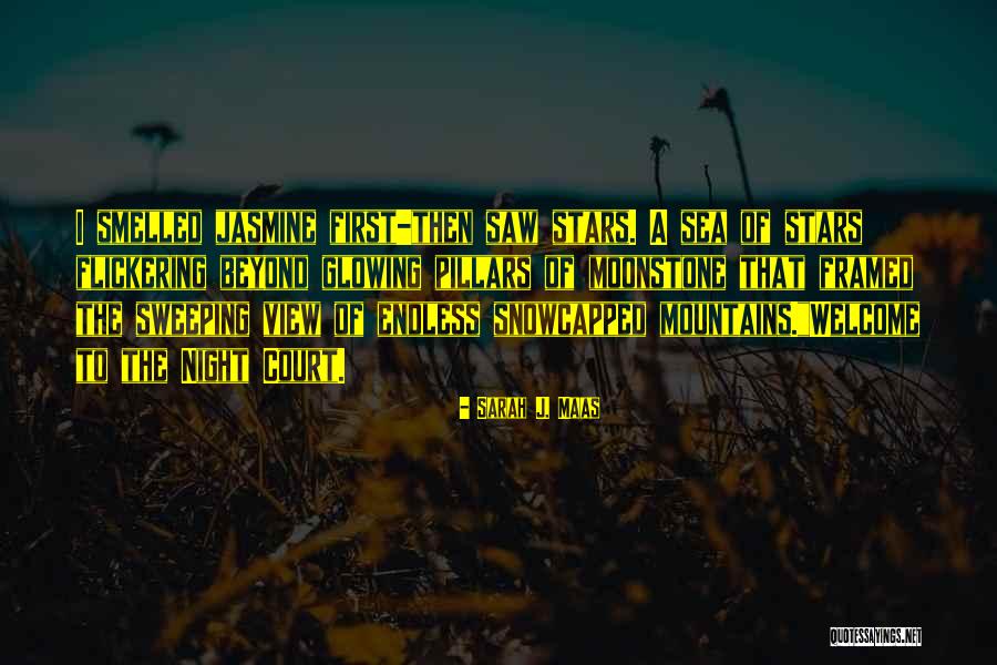 Reinshagen Dsc Quotes By Sarah J. Maas Reinshagen Dsc Quotes By Sarah J. Maas