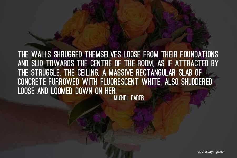 Reinstates Peter Quotes By Michel Faber Reinstates Peter Quotes By Michel Faber