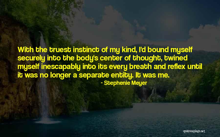Reinterpretation Garment Quotes By Stephenie Meyer Reinterpretation Garment Quotes By Stephenie Meyer