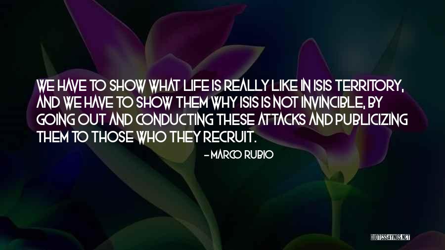 Reinthal Baskets Quotes By Marco Rubio Reinthal Baskets Quotes By Marco Rubio