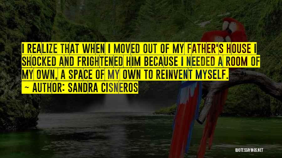 Reinvent Quotes By Sandra Cisneros