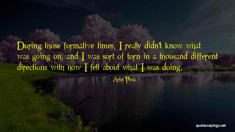 Reinventions Martinsville Quotes By Ariel Pink Reinventions Martinsville Quotes By Ariel Pink