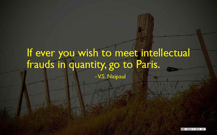 Reira Misaki Quotes By V.S. Naipaul Reira Misaki Quotes By V.S. Naipaul