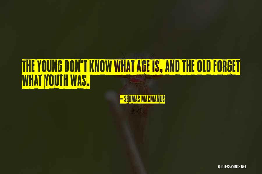 Reiterating Process Quotes By Seumas MacManus Reiterating Process Quotes By Seumas MacManus