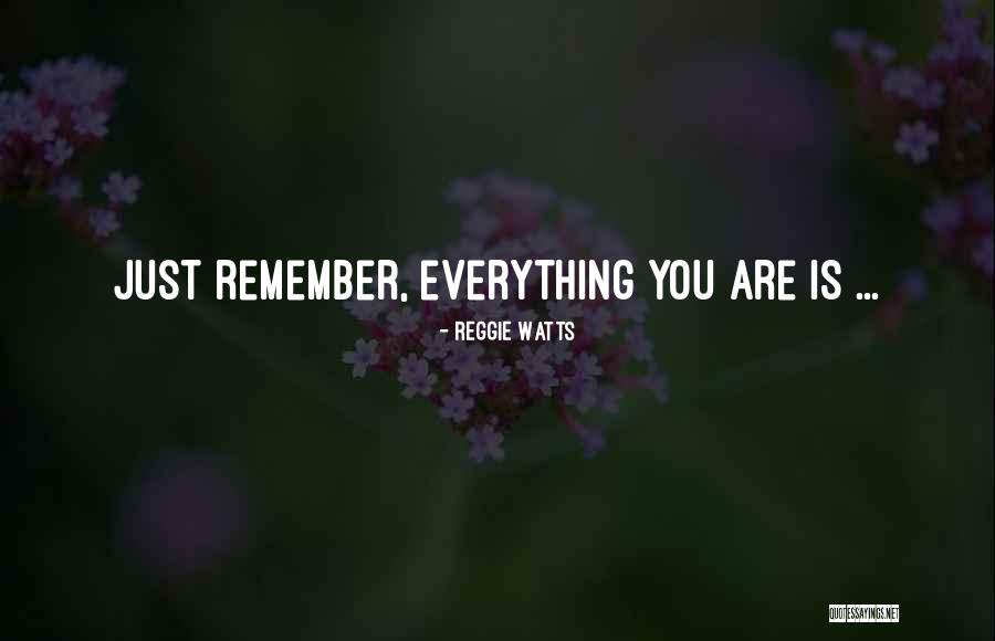 Reiterer Signification Quotes By Reggie Watts