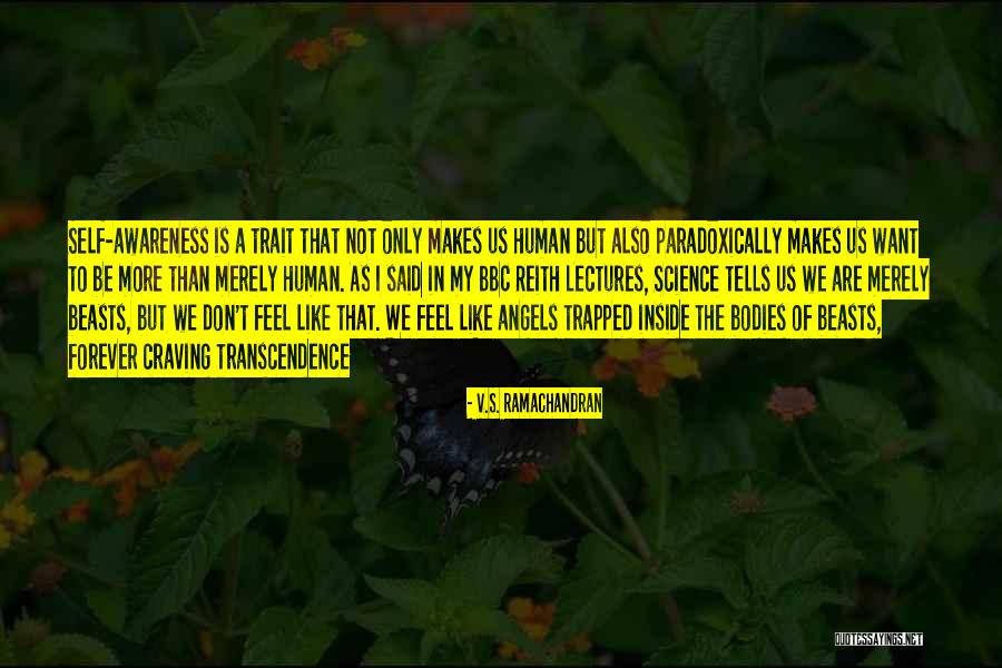 Reith Lectures Quotes By V.S. Ramachandran