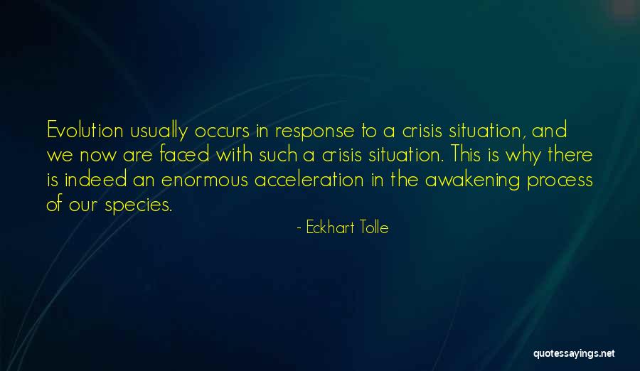 Reitter Family Deaths Quotes By Eckhart Tolle