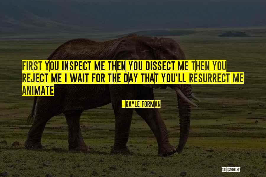 Reject Me Quotes By Gayle Forman Reject Me Quotes By Gayle Forman