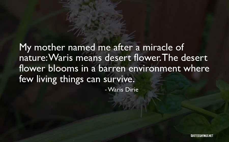 Rejecting The Word Of God Quotes By Waris Dirie Rejecting The Word Of God Quotes By Waris Dirie