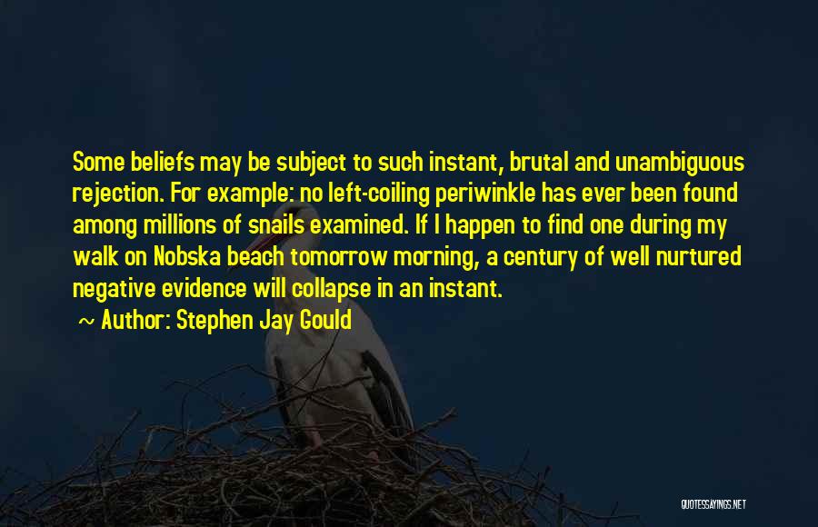 Rejection Quotes By Stephen Jay Gould