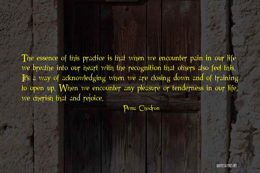 Rejoice Of Life Quotes By Pema Chodron Rejoice Of Life Quotes By Pema Chodron