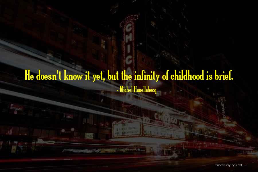 Rejuvenescence Spa Quotes By Michel Houellebecq