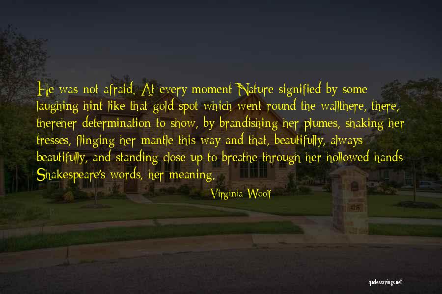 Rekaman Online Quotes By Virginia Woolf