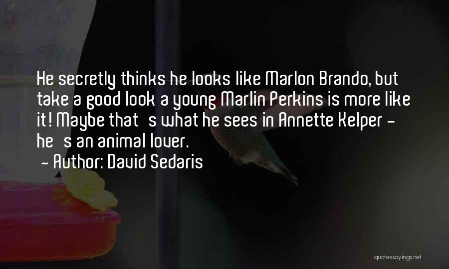 Rekindle Old Love Quotes By David Sedaris