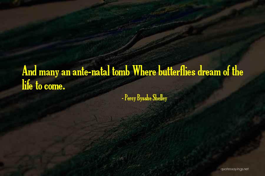 Rekkers Nursery Quotes By Percy Bysshe Shelley Rekkers Nursery Quotes By Percy Bysshe Shelley