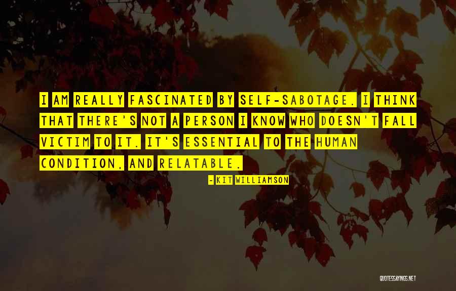 Relatable Quotes By Kit Williamson Relatable Quotes By Kit Williamson