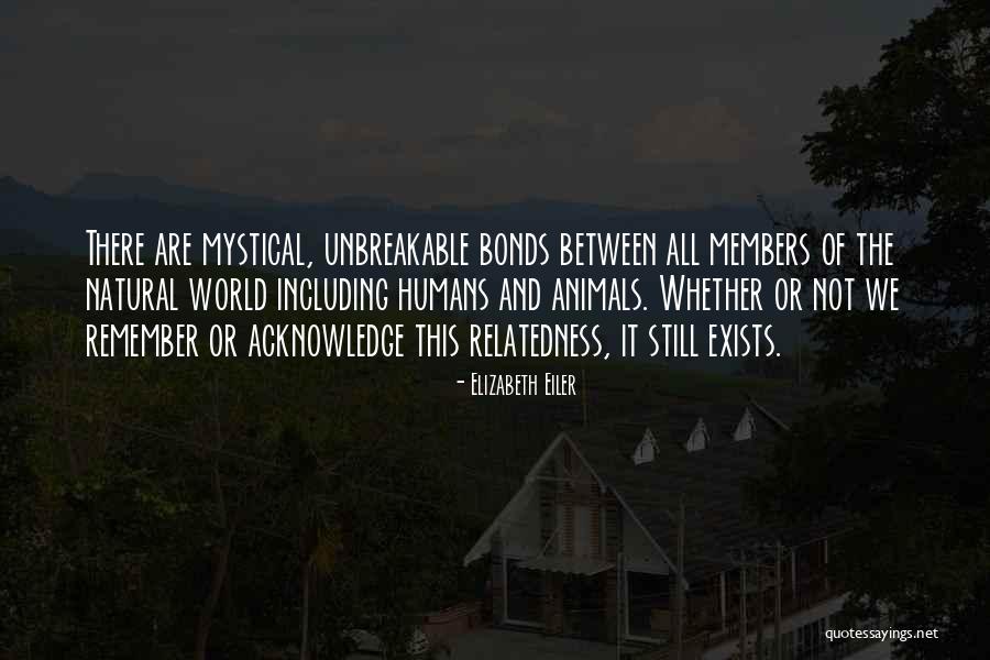 Relatedness Quotes By Elizabeth Eiler Relatedness Quotes By Elizabeth Eiler