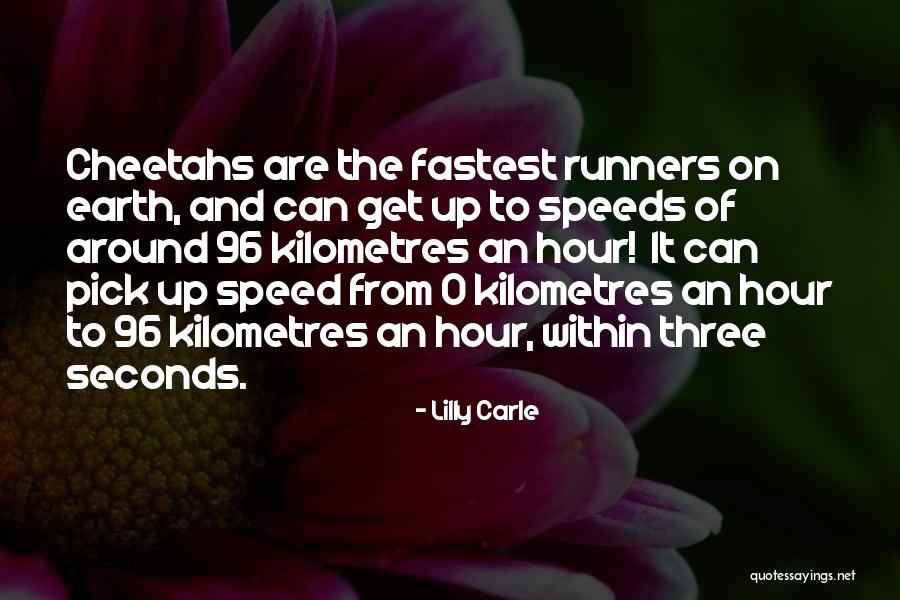 Relatia Robert Quotes By Lilly Carle Relatia Robert Quotes By Lilly Carle