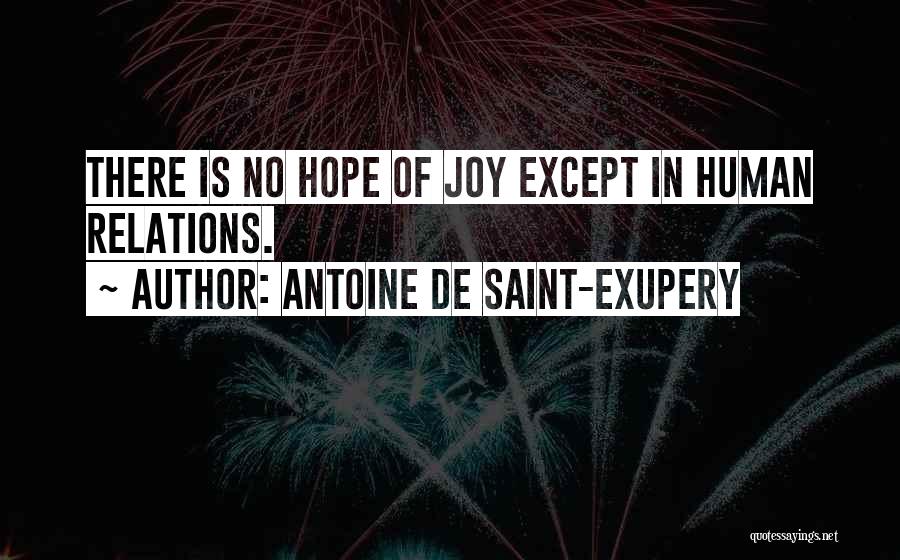 Relation With Friends Quotes By Antoine De Saint-Exupery