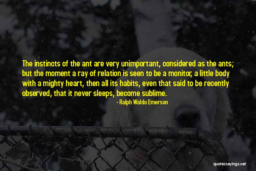 Relation With Quotes By Ralph Waldo Emerson Relation With Quotes By Ralph Waldo Emerson