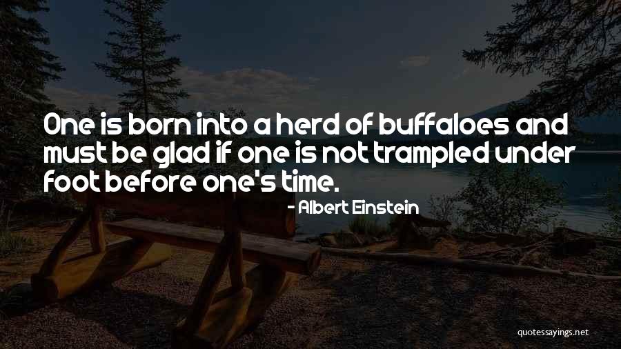 Relationship And Love Quotes By Albert Einstein Relationship And Love Quotes By Albert Einstein