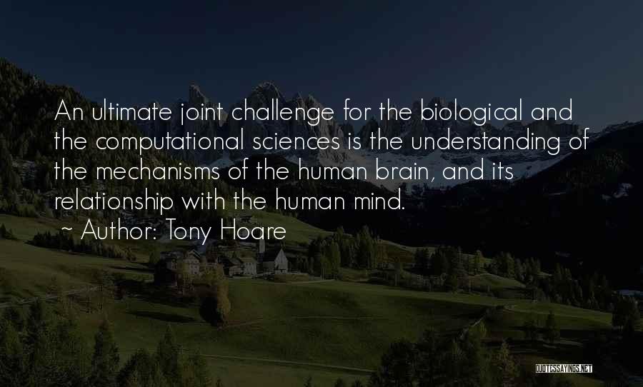 Relationship And Understanding Quotes By Tony Hoare