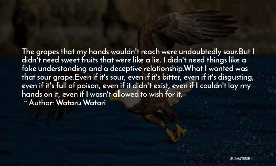 Relationship And Understanding Quotes By Wataru Watari