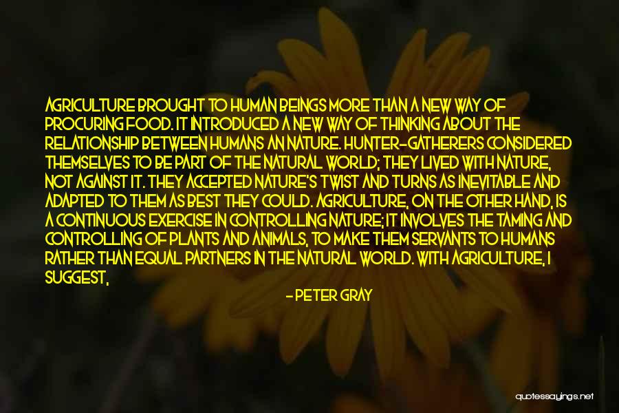 Relationship Between Animals And Humans Quotes By Peter Gray