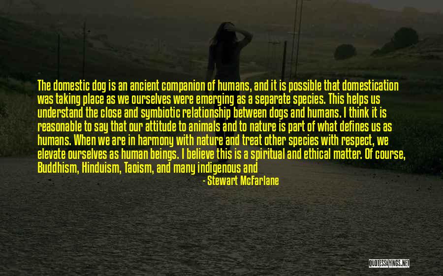 Relationship Between Animals And Humans Quotes By Stewart McFarlane