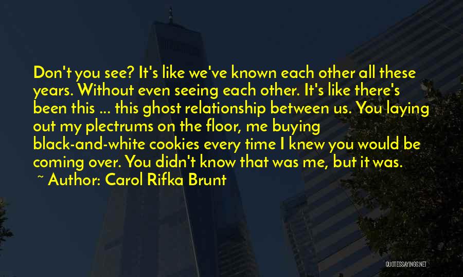 Relationship Between Us Quotes By Carol Rifka Brunt