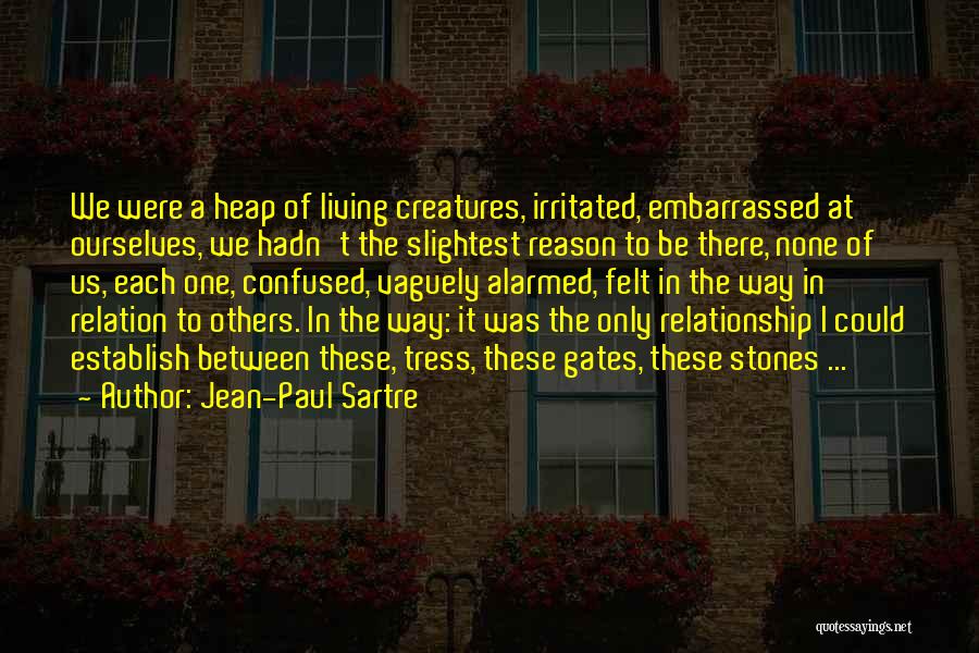 Relationship Between Us Quotes By Jean-Paul Sartre