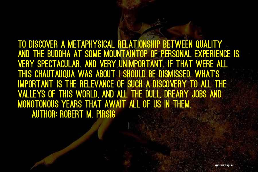 Relationship Between Us Quotes By Robert M. Pirsig