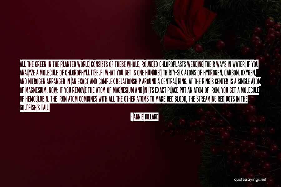 Relationship By Blood Quotes By Annie Dillard Relationship By Blood Quotes By Annie Dillard