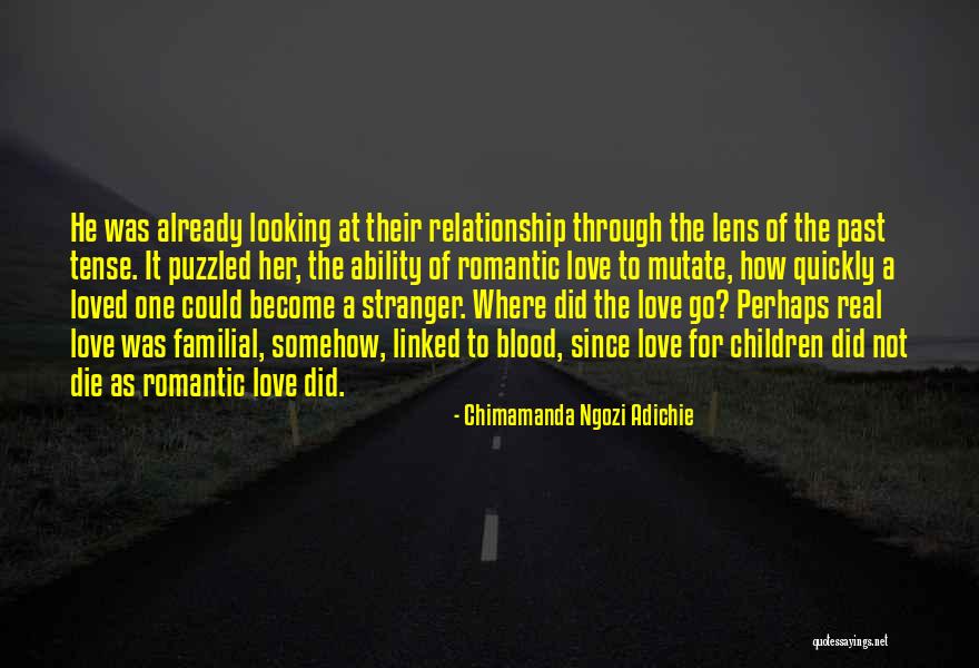 Relationship By Blood Quotes By Chimamanda Ngozi Adichie Relationship By Blood Quotes By Chimamanda Ngozi Adichie