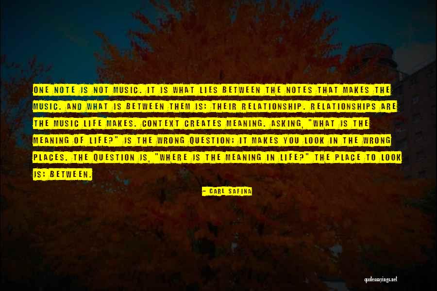 Relationship Is Between You Quotes By Carl Safina Relationship Is Between You Quotes By Carl Safina