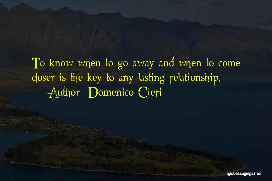 Relationship Lasting Quotes By Domenico Cieri