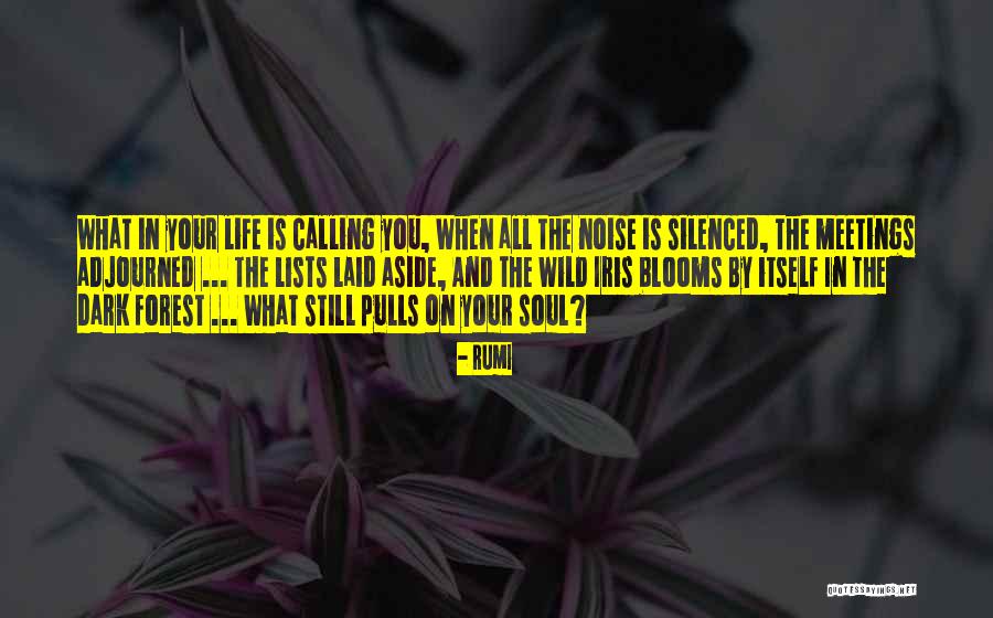 Relationship Restart Quotes By Rumi Relationship Restart Quotes By Rumi