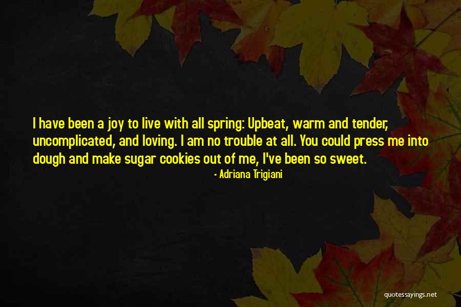 Relationship Rough Patches Quotes By Adriana Trigiani Relationship Rough Patches Quotes By Adriana Trigiani