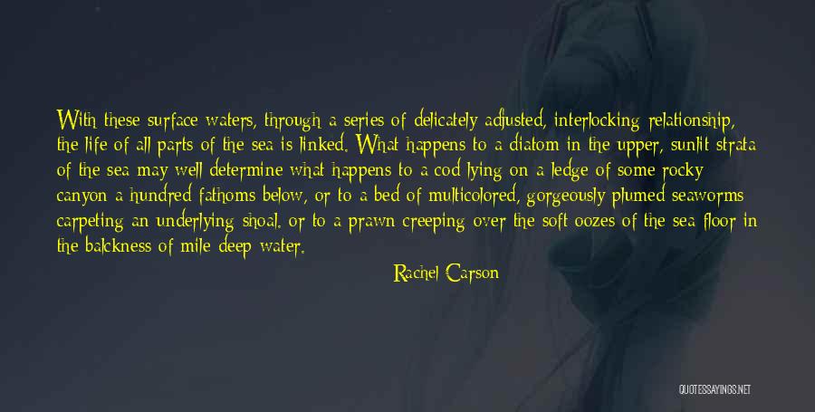 Relationship Rough Patches Quotes By Rachel Carson Relationship Rough Patches Quotes By Rachel Carson